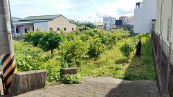 彰化社頭割草