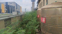 彰化割草