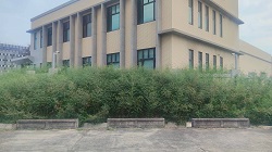 彰化割草