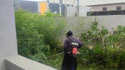彰化割草