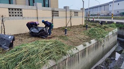 彰化割草