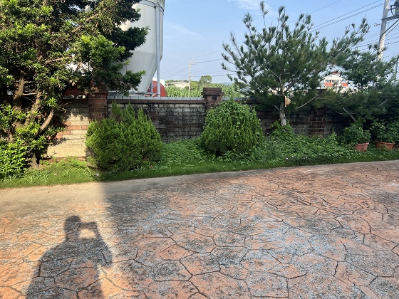 南投割草
