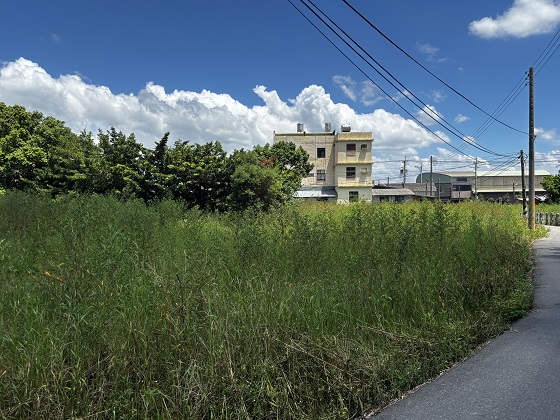 台中清水割草