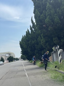 台中割草