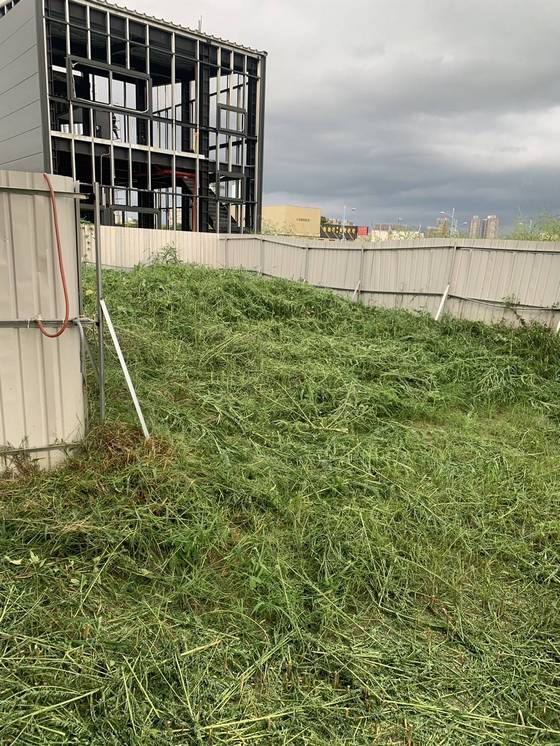 台中南屯區割草