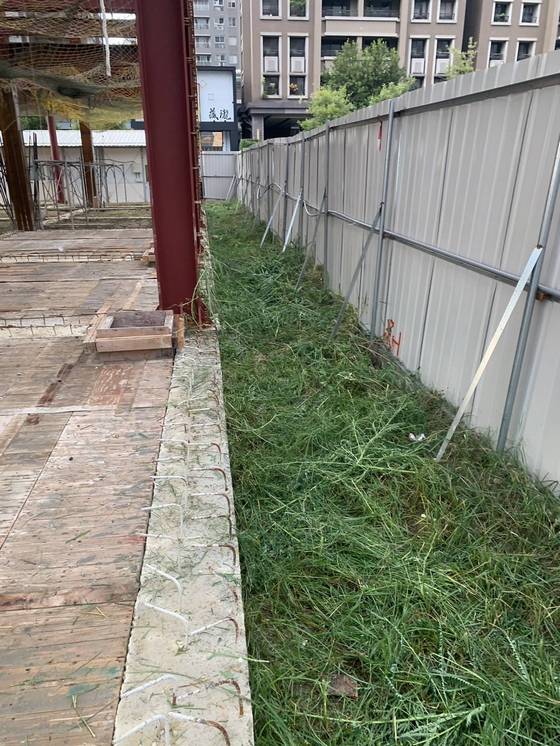 台中南屯區割草