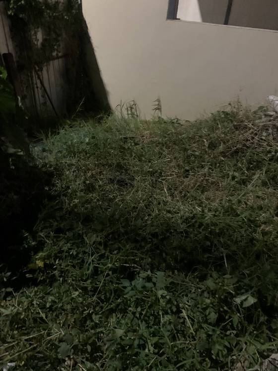 台中北屯區割草