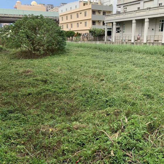 台中梧棲割草