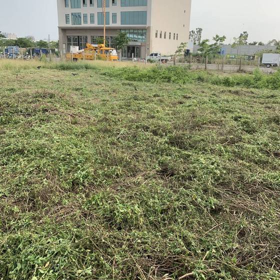 台中市太平區割草