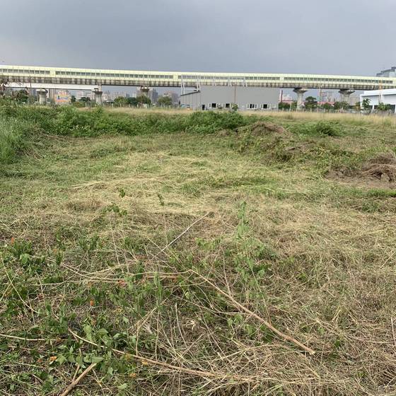 台中市太平區割草