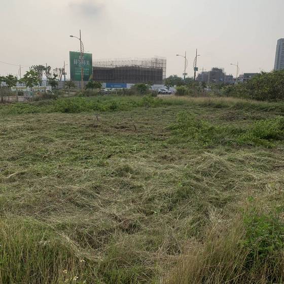 台中市太平區割草