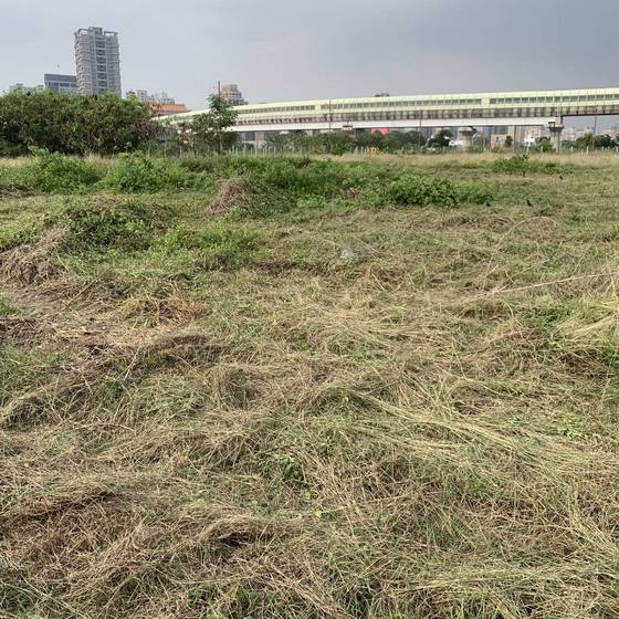台中市太平區割草