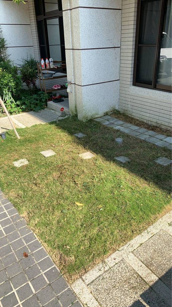 台中市沙鹿區割草