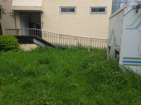 台中市和平區割草