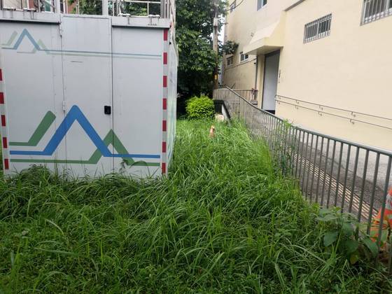 台中市和平區割草