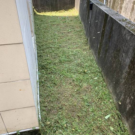 台中市和平區割草