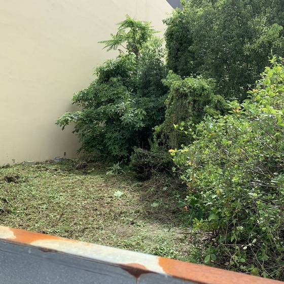 台中市烏日區割草