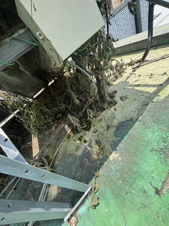 台中市太平區雜草處理