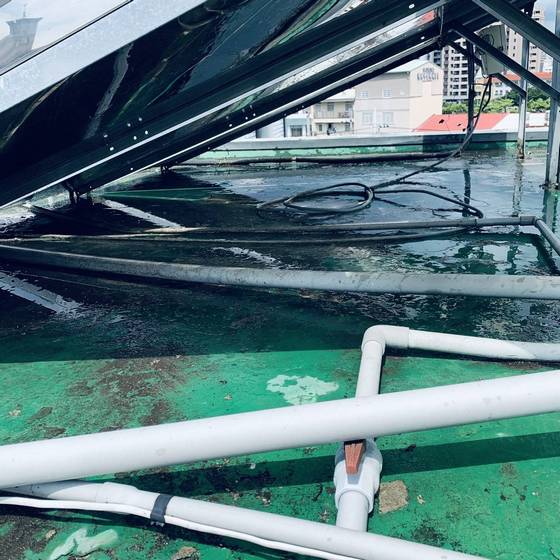 台中市太平區雜草處理