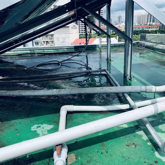 台中市太平區雜草處理