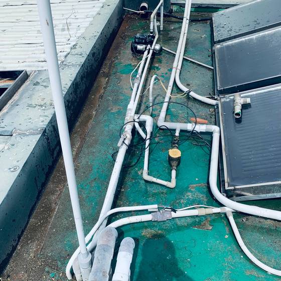 台中市太平區雜草處理