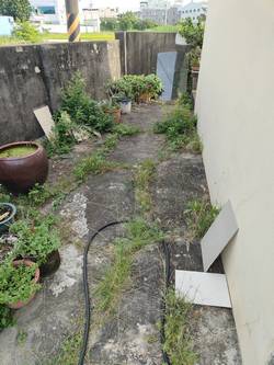 台中市霧峰區割草