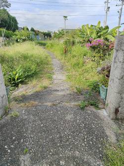 台中市霧峰區割草