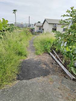 台中市霧峰區割草