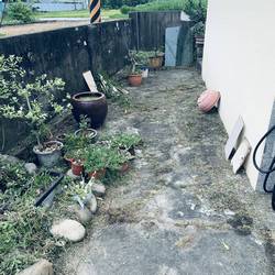 台中市霧峰區割草