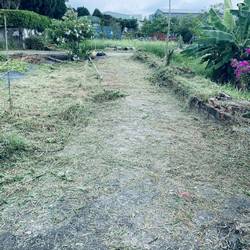 台中市霧峰區割草