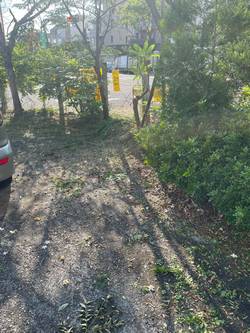 台中市北屯區割草