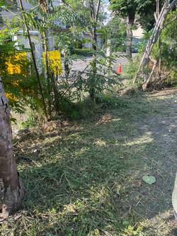 台中市北屯區割草