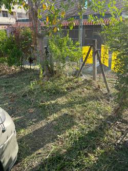 台中市北屯區割草