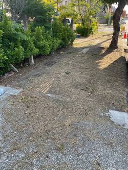 台中市北屯區割草