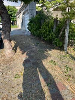 台中市北屯區割草