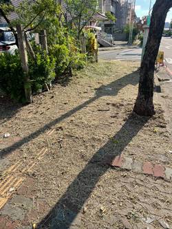 台中市北屯區割草