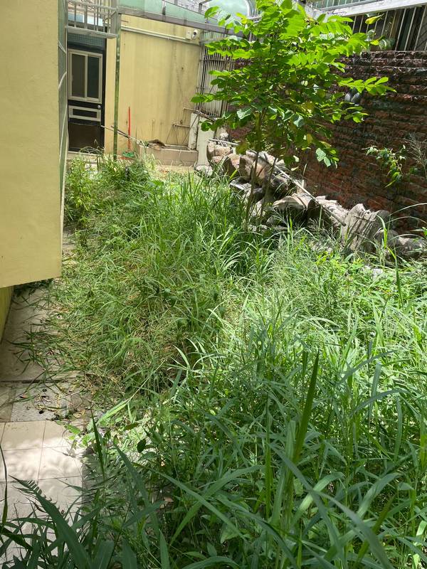 台中市北屯區割草