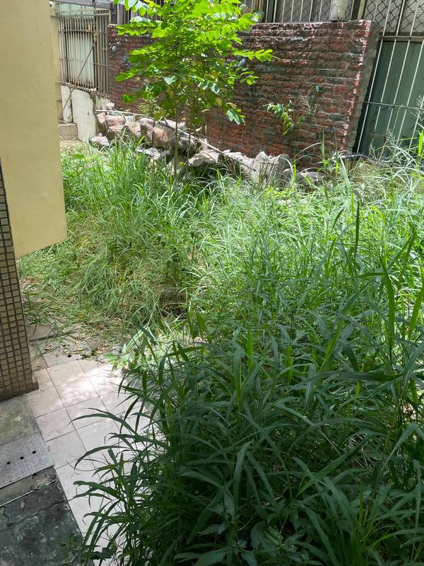 台中市北屯區割草