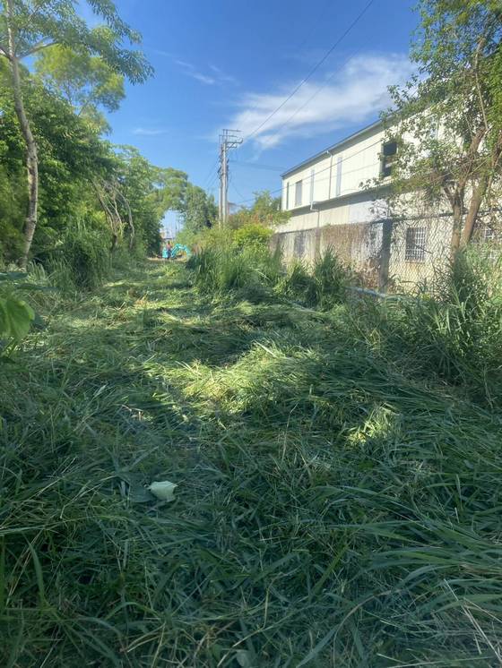 台中神岡區割草