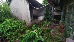 台中豐原區割草