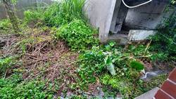 台中豐原區割草