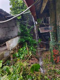 台中豐原區割草