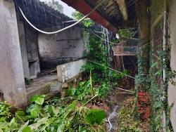 台中豐原區割草