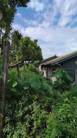 台中豐原區割草