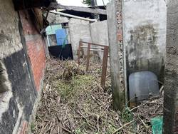 台中豐原區割草