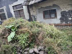 台中豐原區割草