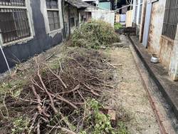 台中豐原區割草