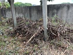 台中豐原區割草