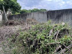 台中豐原區割草