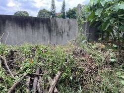 台中豐原區割草